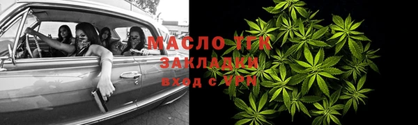 трава Ельня