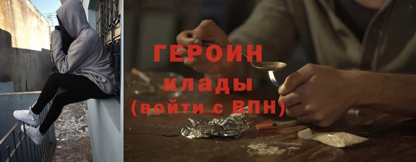 трава Ельня