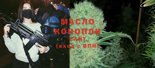 трава Ельня