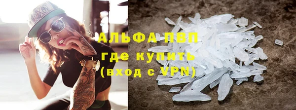 трава Ельня