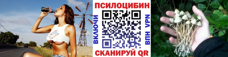 Галлюциногенные грибы GOLDEN TEACHER  где найти наркотики  Находка 